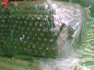 從企業(yè)黃頁到專業(yè)平臺 解析香菇滅菌鍋爐與滅菌方柜的生產與應用